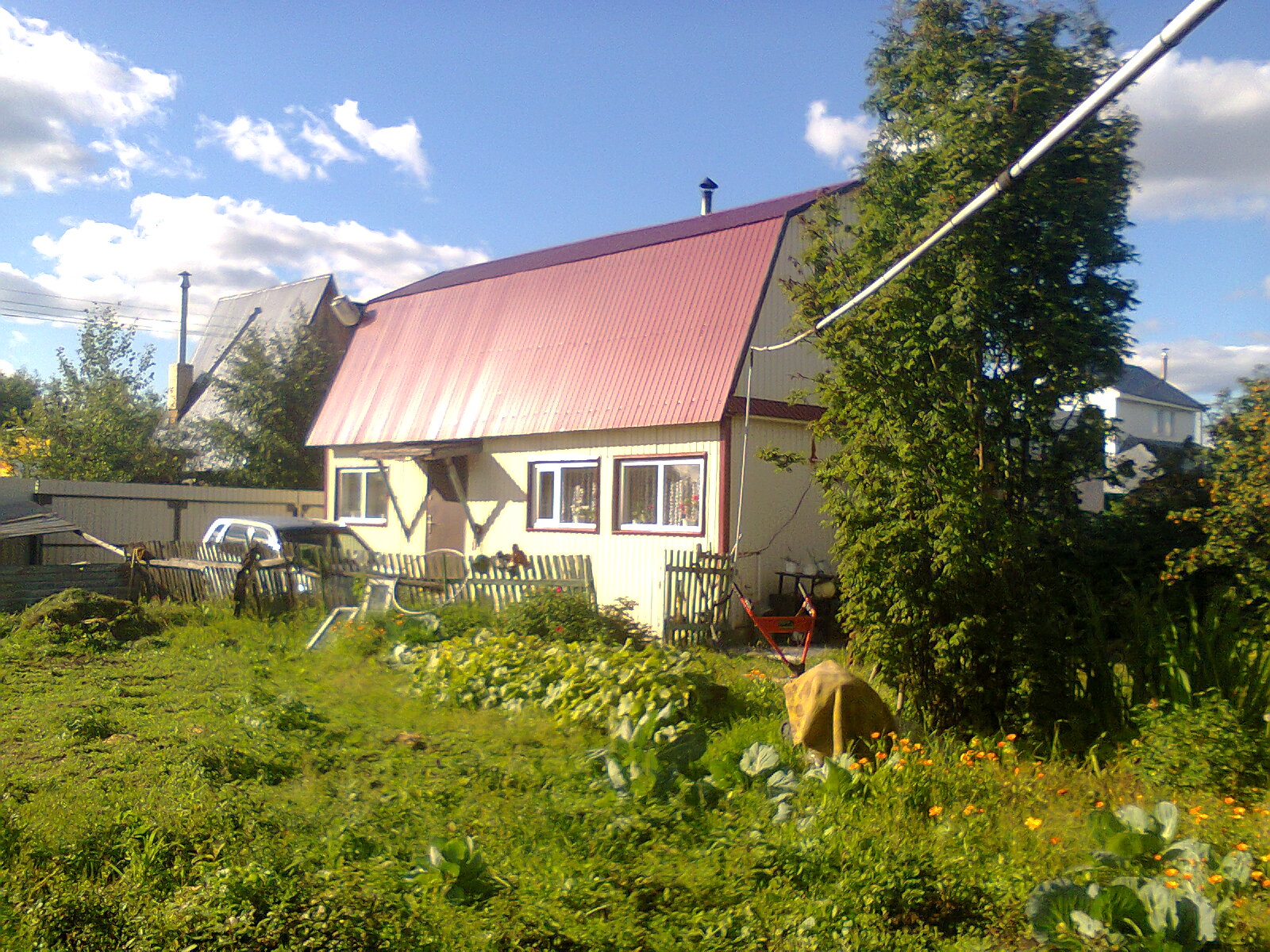 Загородная сургут. Дачный кооператив Дорожник г Сургут. Загородная недвижимость Сургут.