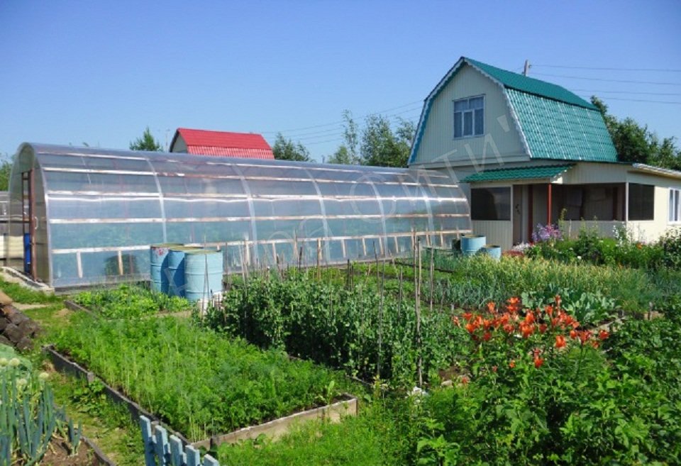 Продается дача в кооперативе Грибное в городе Сургут, фото 1, Ханты-Мансийский автономный округ