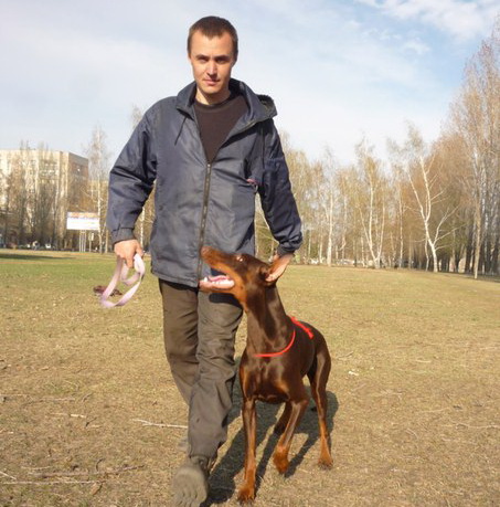 Дрессировка собак в Тольятти. 89179611476 в городе Тольятти, фото 1, Самарская область