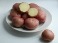 Продается семенной картофель Романо в городе Воронеж, фото 1, Воронежская область