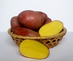 Семенной картофель от производителя. в городе Тверь, фото 3, стоимость: 15 руб.