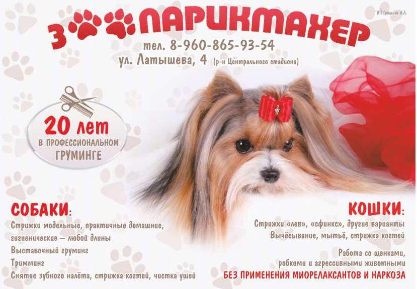 Стрижка собак и кошек в Астрахани, уход за шерстью, опытный грумер в городе Астрахань, фото 1, Астраханская область