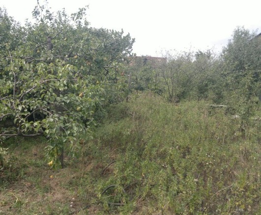 Продам дачу, Каспийск, Виноградная улица, 27, СТ Дружба в городе Каспийск, фото 2, телефон продавца: +7 (918) 082-43-82