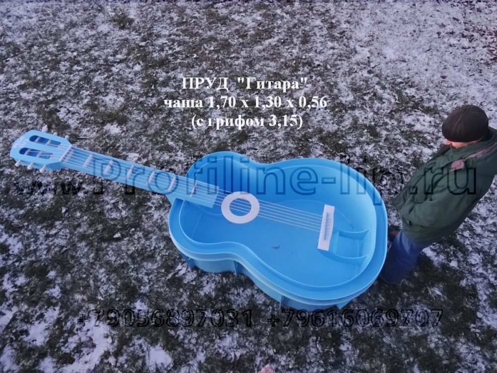 Пруд «Гитара» из полипропилена (пластик) в Липецке в городе Москва, фото 1, Московская область