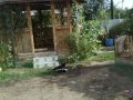 Продаю домовладение в экологически-чистом месте в городе Южно-Сахалинск, фото 1, Сахалинская область
