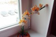 Орхидея из бисера в городе Красноярск, фото 1, Красноярский край