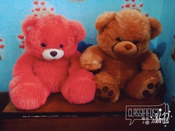 Медведи в городе Прохладный, фото 1, стоимость: 1 500 руб.