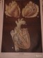 Анатомические плакаты в городе Рязань, фото 1, Рязанская область