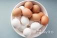 Куриные яйца, домашние в городе Сергиев Посад, фото 1, Московская область