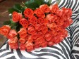 Букет из 101 розы Анастасия в городе Казань, фото 1, Татарстан