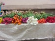 Тюльпаны оптом в городе Астрахань, фото 1, Астраханская область