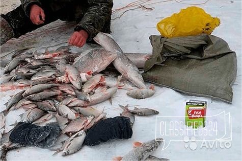 Зимний активатор клева FishHungry в городе Новосибирск, фото 3, Охота, рыбалка, активный отдых
