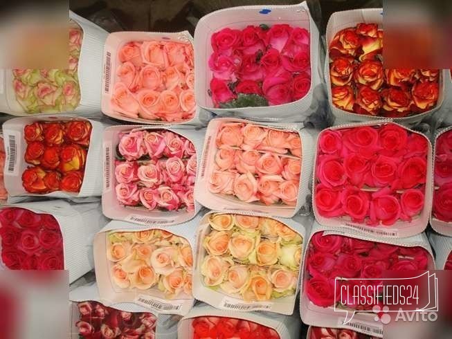 Доставка цветов на 8 марта в городе Санкт-Петербург, фото 1, телефон продавца: +7 (999) 088-08-78