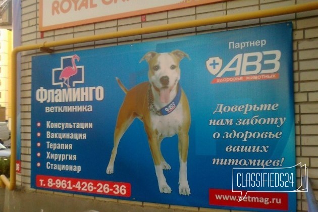 Ветеринарной клинике требуется доктор в городе Ростов-на-Дону, фото 1, Ростовская область