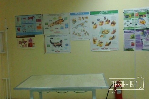 Ветеринарной клинике требуется доктор в городе Ростов-на-Дону, фото 2, телефон продавца: +7 (961) 290-07-29