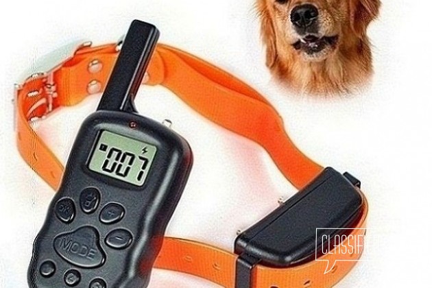 Электронный ошейник, антилай(вой) собакам от 0.5кг в городе Тверь, фото 1, телефон продавца: +7 (906) 889-36-84
