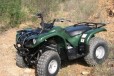 Yamaha grizzly 125 в городе Ростов-на-Дону, фото 1, Ростовская область