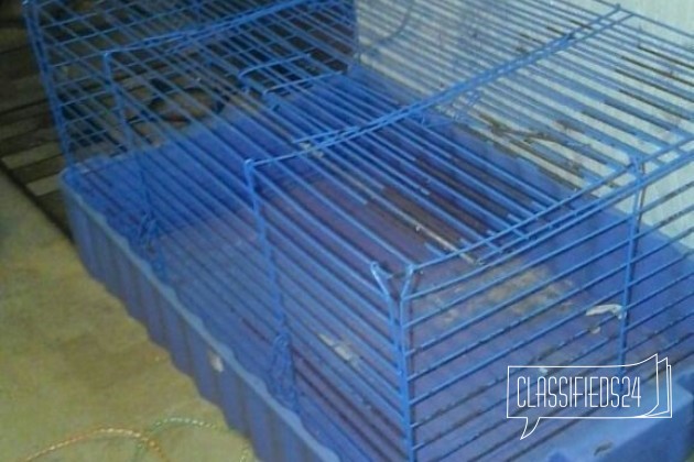 Клетка для кролика в городе Ульяновск, фото 1, телефон продавца: +7 (902) 356-33-28