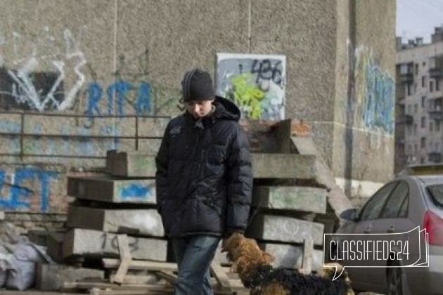 Открыт набор в группы по воспитанию собак в городе Санкт-Петербург, фото 2, стоимость: 7 500 руб.