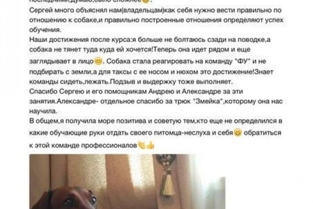 Открыт набор в группы по воспитанию собак в городе Санкт-Петербург, фото 5, телефон продавца: +7 (921) 740-09-53