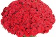 51 крупная роза в городе Казань, фото 1, Татарстан