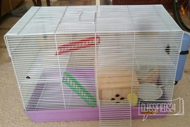 Клетка для грызунов в городе Кемерово, фото 1, Аксессуары