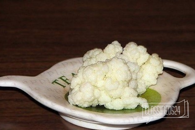 Китайский Молочный Гриб Где Купить