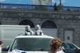 Оригинальное украшение на машину в виде мишек в городе Екатеринбург, фото 1, Свердловская область