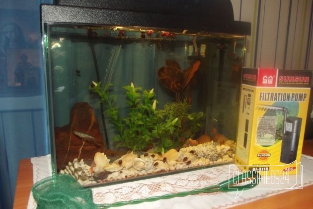 Продам аквариум в городе Оренбург, фото 1, Аквариумные рыбки
