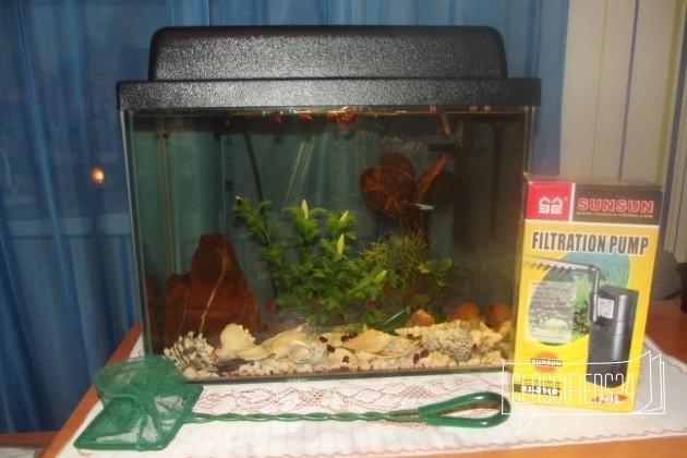 Продам аквариум в городе Оренбург, фото 2, Оренбургская область
