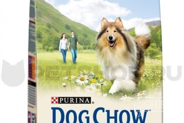 Купить Корм Dog Chow С Лососем