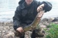 Рыбалка в Ленинградской области в городе Архангельск, фото 1, Архангельская область