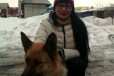 Найдена собака. ищем старого хозяина в городе Копейск, фото 1, Челябинская область