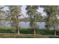 Дом на берегу р. Волга в городе Саратов, фото 5, стоимость: 16 000 000 руб.