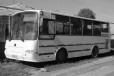 Продажа автобуса паз-4230 в городе Новосибирск, фото 1, Новосибирская область