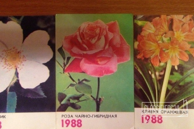 Карманные календарики 1988 цветы в городе Москва, фото 1, телефон продавца: +7 (916) 847-35-78