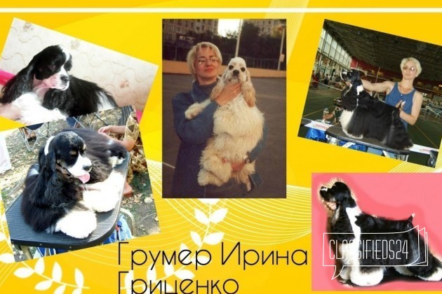 Груминг собак, стрижка кошек в Астрахани в городе Астрахань, фото 4, Астраханская область