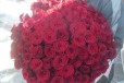 Розы красные Игуана в городе Казань, фото 1, Татарстан