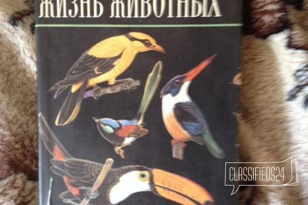 Продам книги животный мир в городе Рыбинск, фото 1, стоимость: 0 руб.
