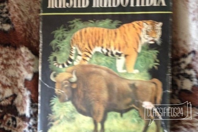 Продам книги животный мир в городе Рыбинск, фото 2, Художественная литература