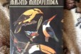 Продам книги животный мир в городе Рыбинск, фото 1, Ярославская область