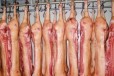 Продажа свиных тушек в городе Рязань, фото 1, Рязанская область