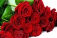 Розы, ирисы, нарцисы тюльпаны, герберы на 8 марта в городе Екатеринбург, фото 1, Свердловская область