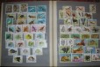 Альбом С марками. более 800 штук. фауна в городе Салават, фото 3, стоимость: 4 900 руб.