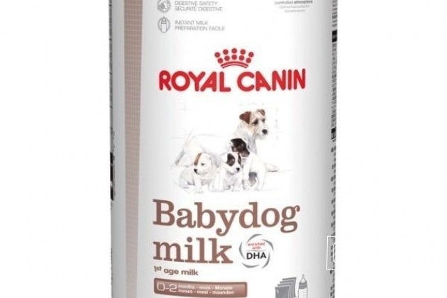 Заменитель сучьего молока Royal Canin Babydog milk в городе Краснодар, фото 1, стоимость: 1 100 руб.
