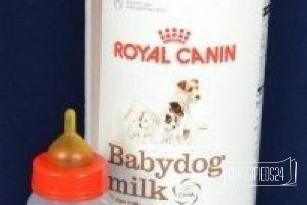 Заменитель сучьего молока Royal Canin Babydog milk в городе Краснодар, фото 2, Аксессуары