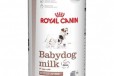 Заменитель сучьего молока Royal Canin Babydog milk в городе Краснодар, фото 1, Краснодарский край