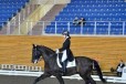 Спортивная лошадь в городе Уфа, фото 1, Башкортостан