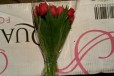 Тюльпаны оптом из своей теплицы в городе Краснодар, фото 2, телефон продавца: +7 (938) 480-99-95