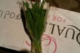 Тюльпаны оптом из своей теплицы в городе Краснодар, фото 3, стоимость: 20 руб.